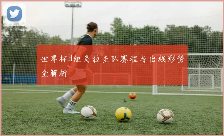 世界杯H组乌拉圭队赛程与出线形势全解析