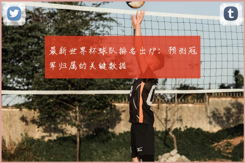 最新世界杯球队排名出炉：预测冠军归属的关键数据