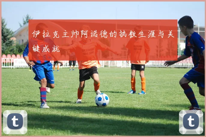 伊拉克主帅阿诺德的执教生涯与关键成就